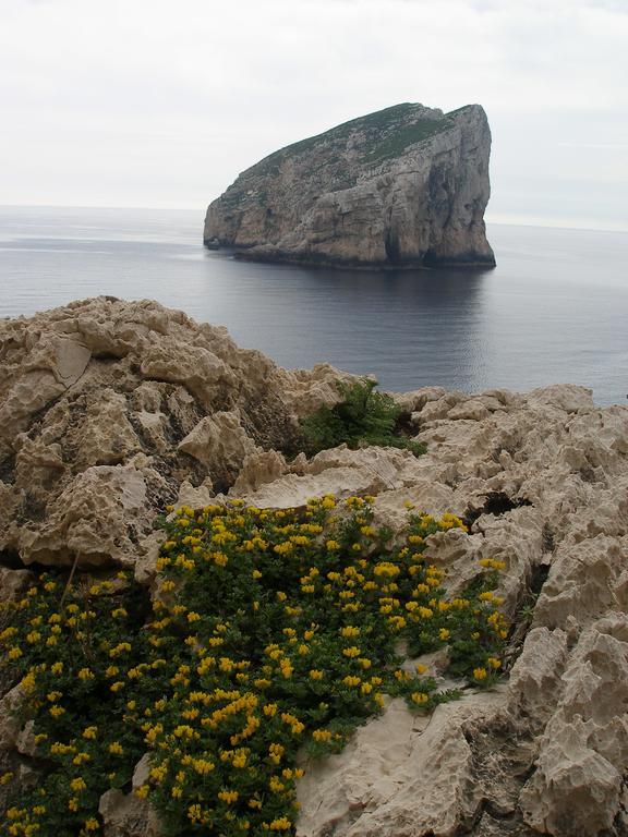 Giramondo Sardegna Affittacamere アルゲーロ エクステリア 写真