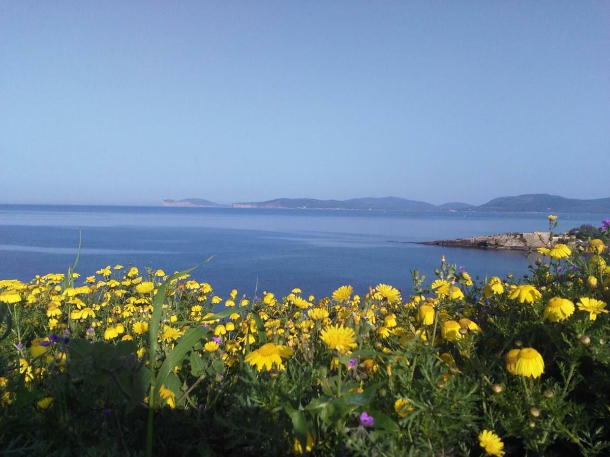 Giramondo Sardegna Affittacamere アルゲーロ エクステリア 写真