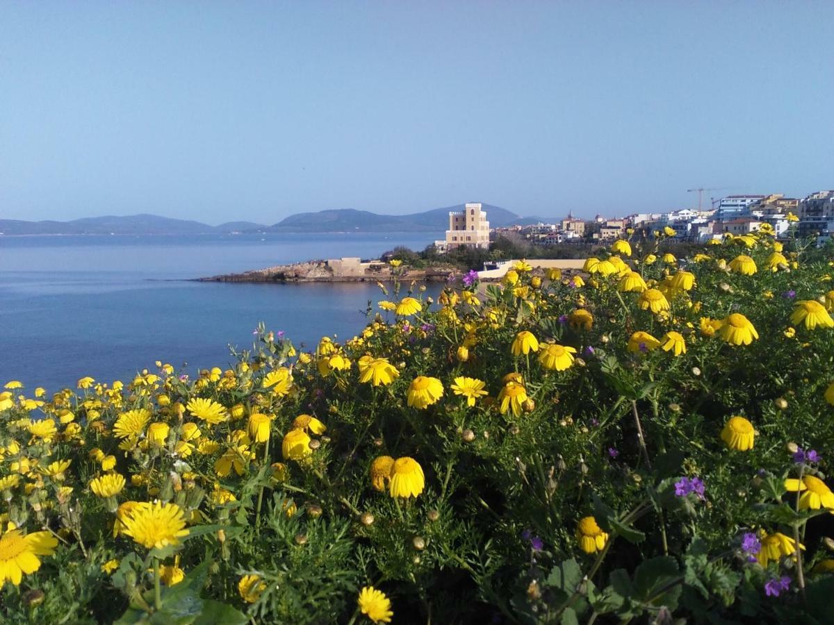 Giramondo Sardegna Affittacamere アルゲーロ エクステリア 写真