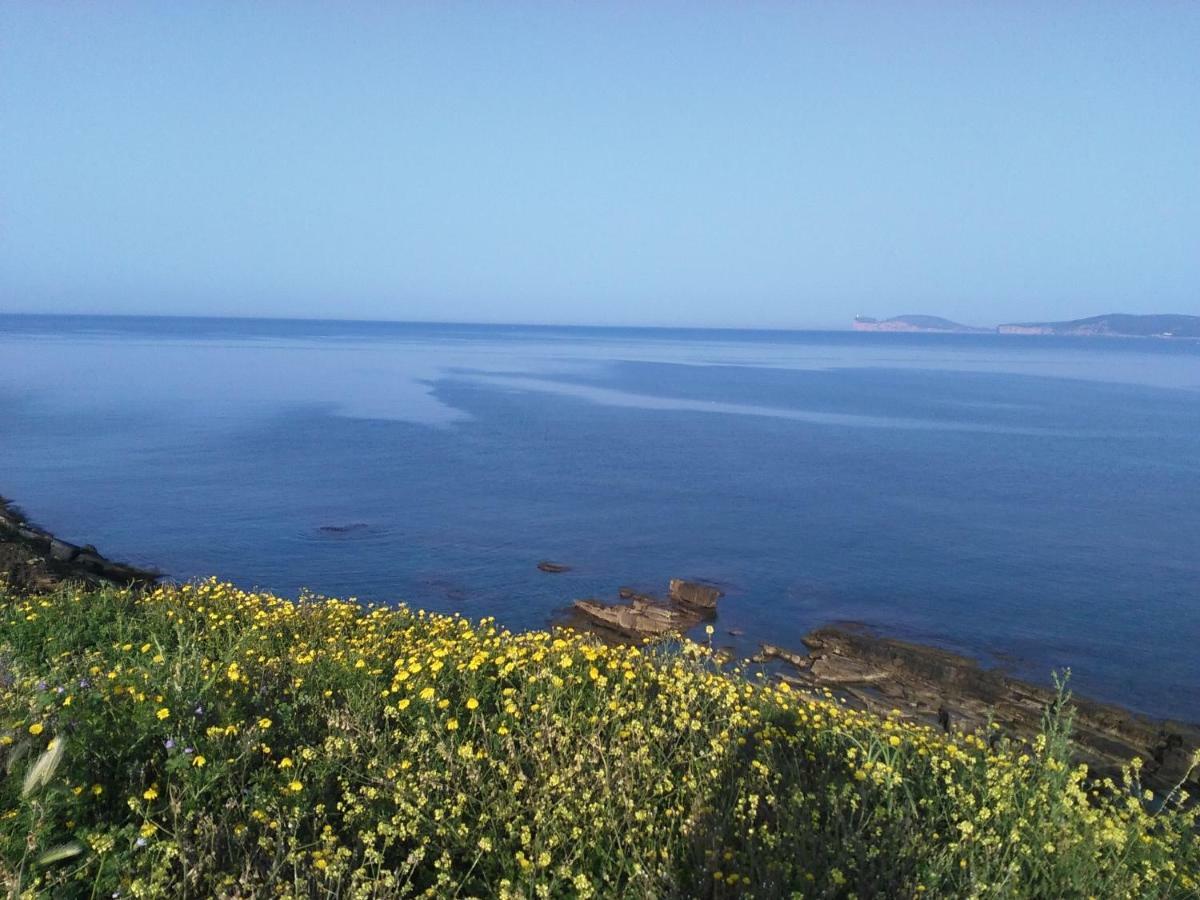 Giramondo Sardegna Affittacamere アルゲーロ エクステリア 写真